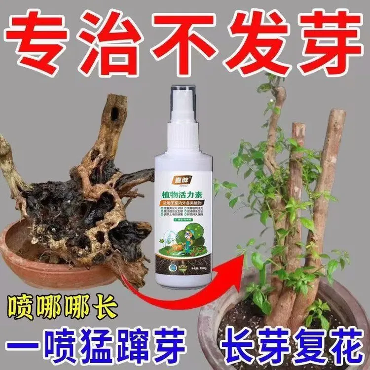 【爆满芽】老桩催芽剂液体促芽僵苗快速发新芽月季发财树复活爆芽素