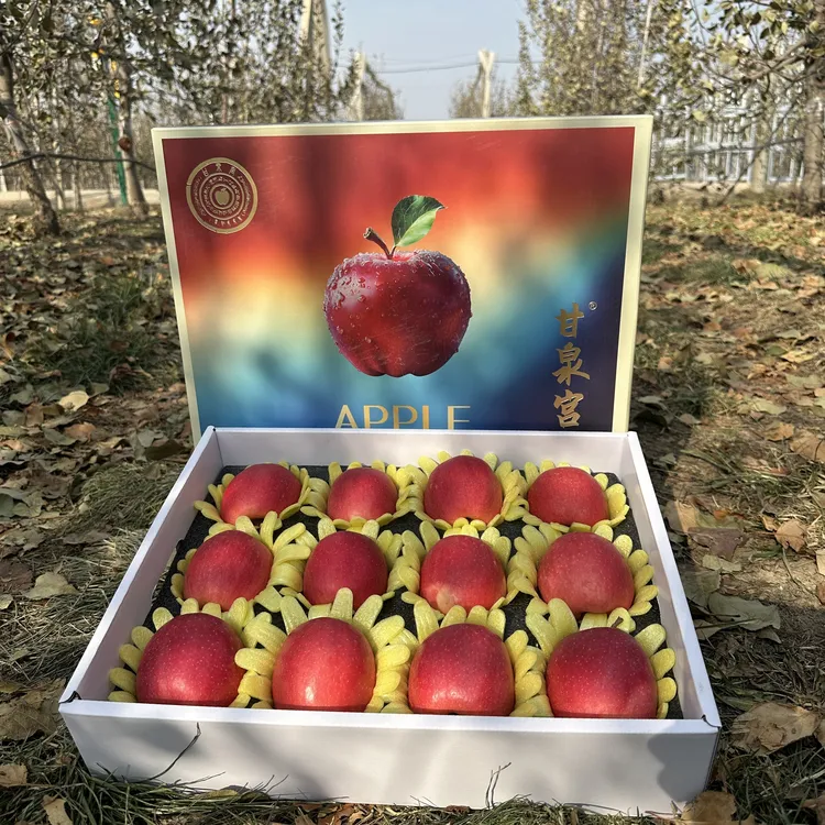 产地直发陕西新品种【瑞香红】高端礼盒苹果、高海拔高温差、口味纯甜