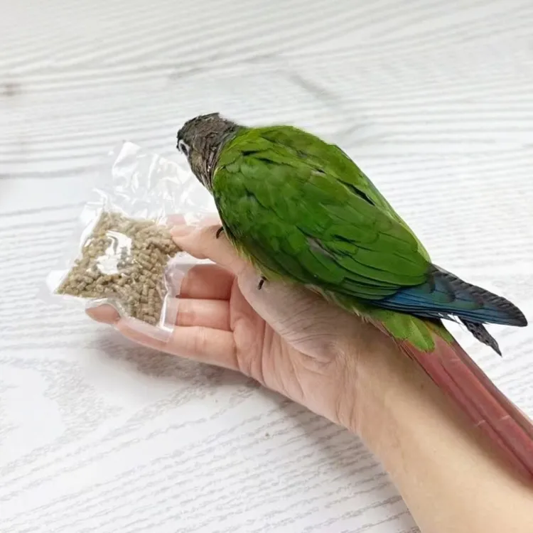 繁殖型高蛋白滋养丸虎皮牡丹玄凤小太阳150g