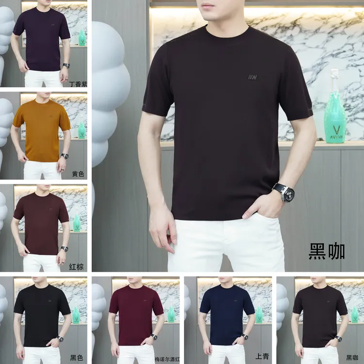 2025高品质针织衫秋冬季男士短袖轻奢休闲百搭纯色打底衫圆领