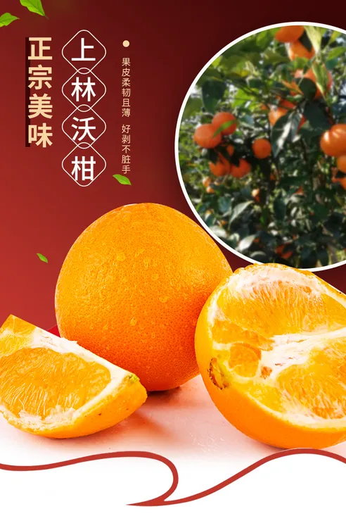 广西上林沃皇沃柑当季新鲜水果皮薄多汁香甜橘子包邮