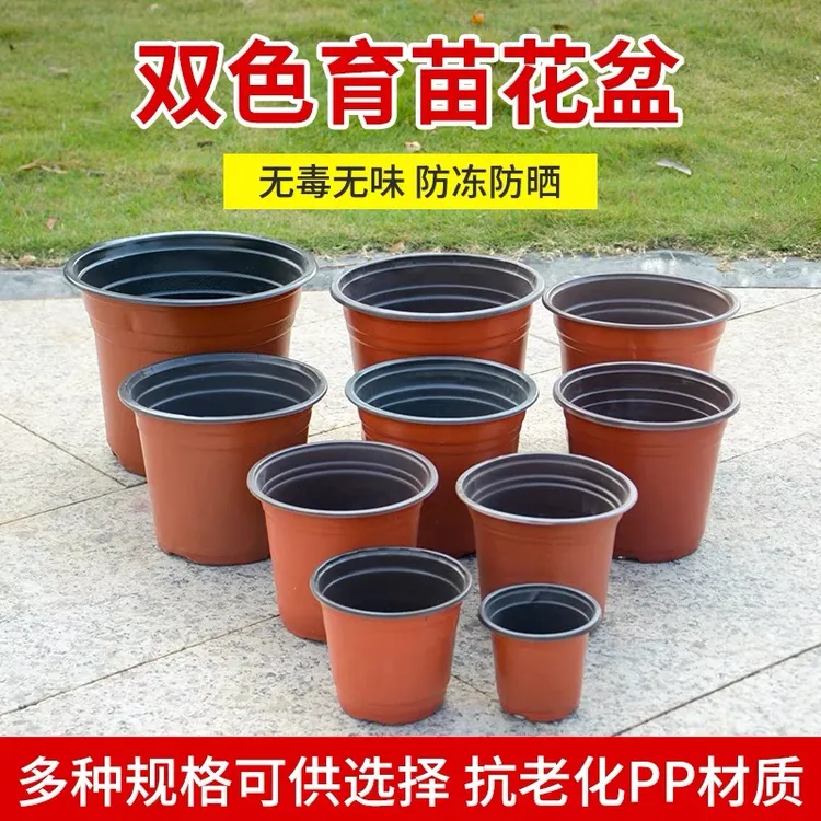 【50个】双色花盆种植育苗袋装盆营养钵塑料一次性加厚培育盆多规格