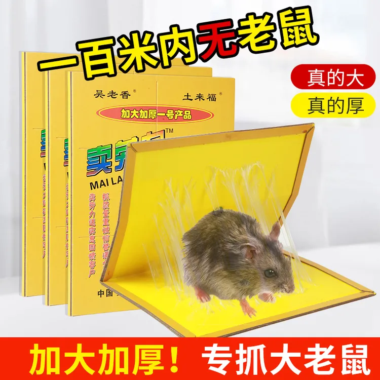 家用老鼠贴强力外用老鼠专用灭鼠神器老鼠板强力胶粘大老鼠正品