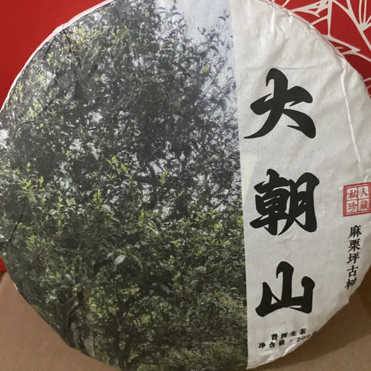 2025年的古树茶、香气好甜度高
