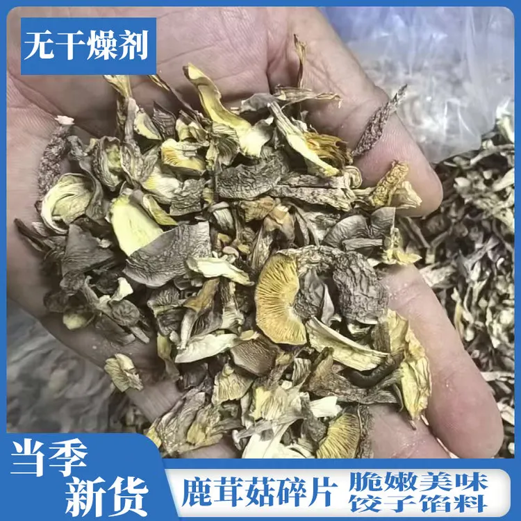 包饺子用鹿茸菇干货