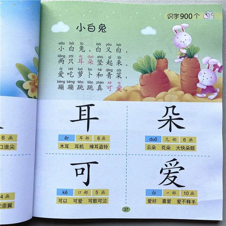 识字900个 幼小衔接学前唐诗儿歌绕口令阅读识字书生字带组词成语