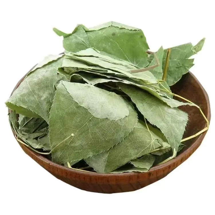 甘肃淫羊叶片小圆叶小片小博叶有锯齿小叶自然晾晒