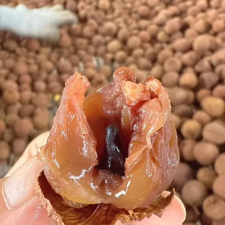 高州特产精选桂味荔枝干大果核小肉厚新货香甜干果零食直播间低价