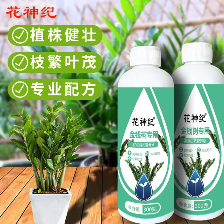 金钱树营养液肥料专用肥治叶子发黄掉叶烂根室内盆栽植物花肥通用