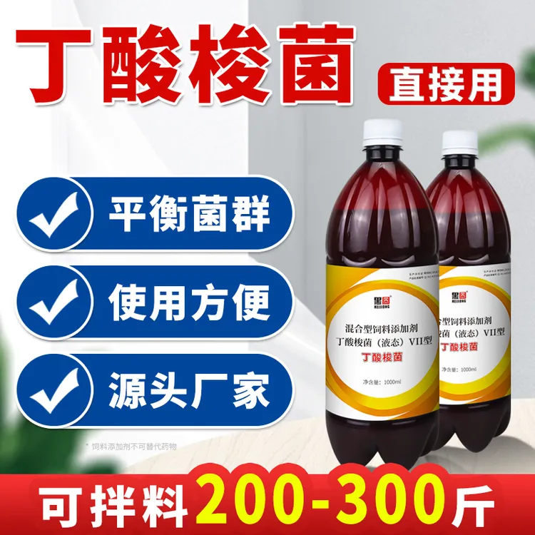 黑囧丁酸梭菌养殖专用用长期稳定肠道调节空肠空胃液态产品
