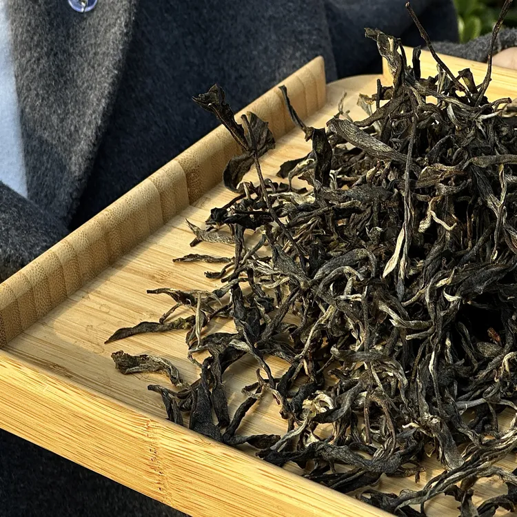 【十六棵单株】2025年单株古树茶 200克 普洱茶