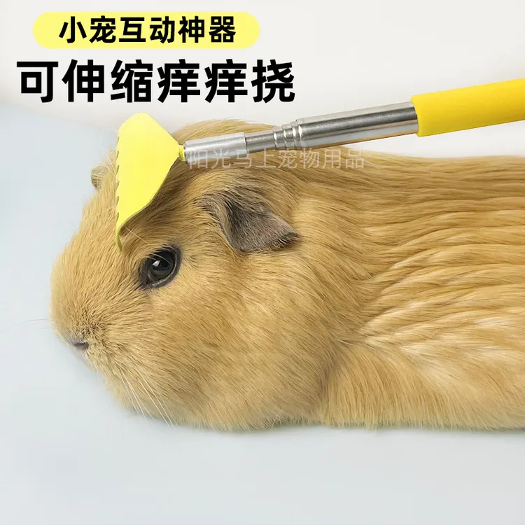 荷兰猪兔子抓痒玩具伸缩挠痒痒按摩互动梳子解闷梳毛宠物玩具