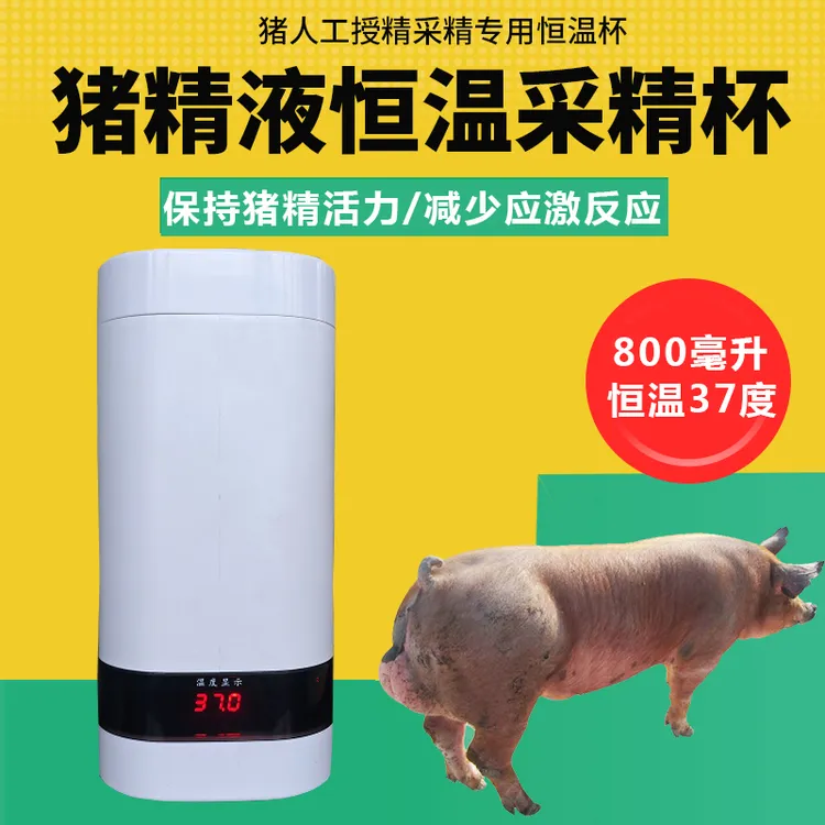 800毫升倍特双猪精恒温采精杯37度恒温杯