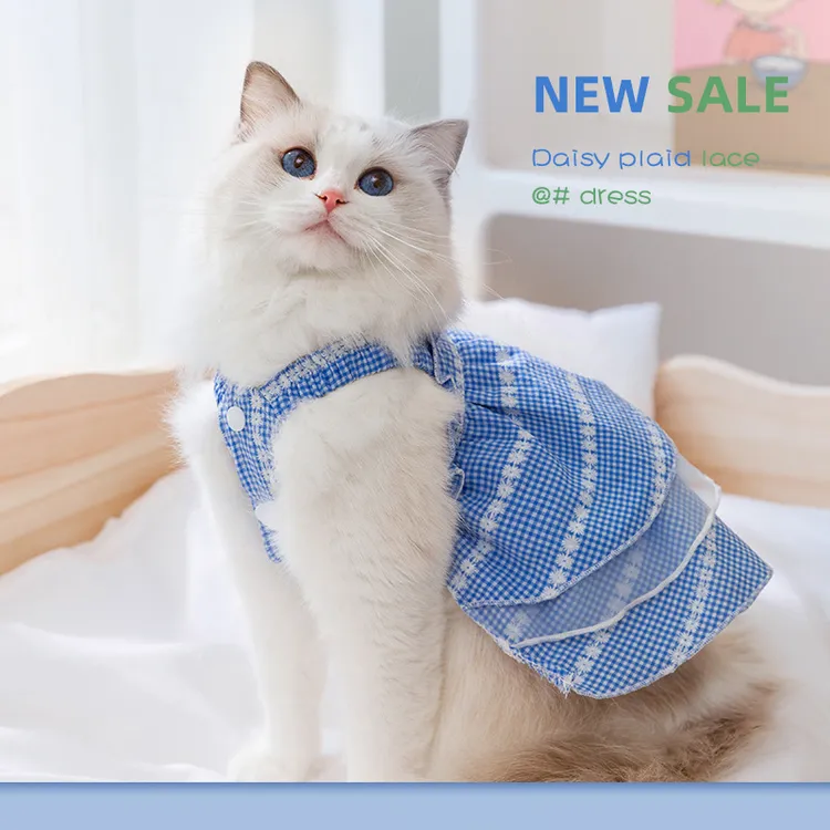 小雏菊格子蕾丝吊带裙猫咪裙子猫猫衣服清凉透气夏季奶猫服饰春季