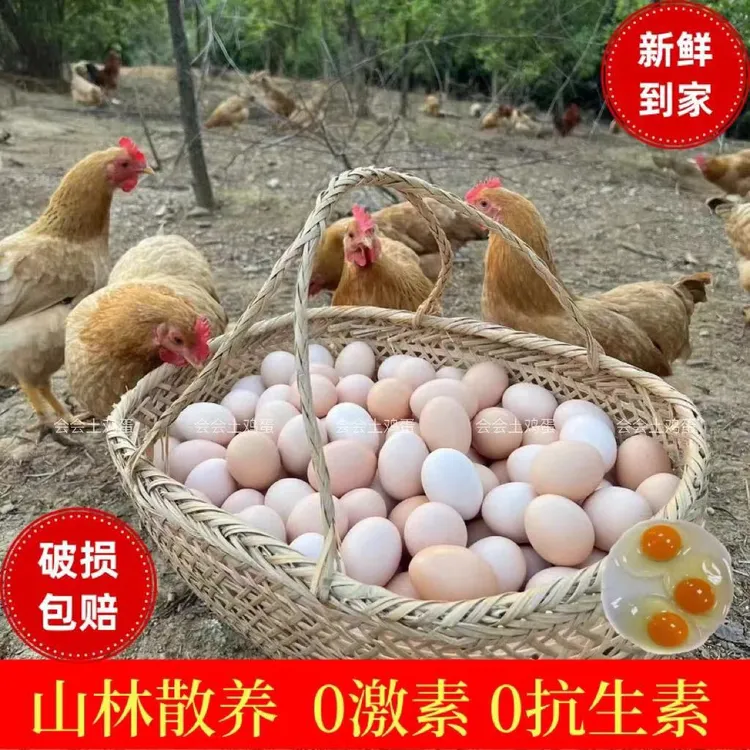 30枚散养新鲜土鸡蛋农家散养土鸡蛋新鲜现捡当天发货健康营养好吃