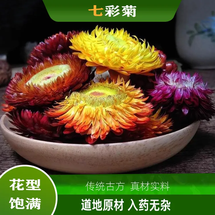 七彩菊藏菊花西藏七彩雏菊花头天然菊花头干花头混色太阳菊野生