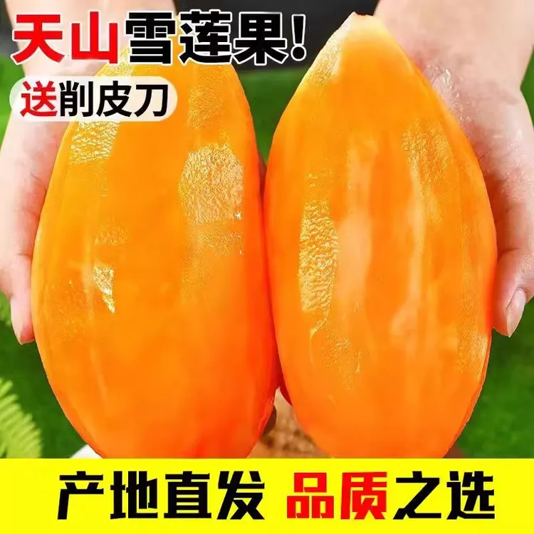 云南正宗天山雪莲果清甜多汁