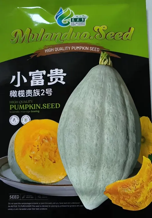 小富贵香甜面南瓜种子丑瓜