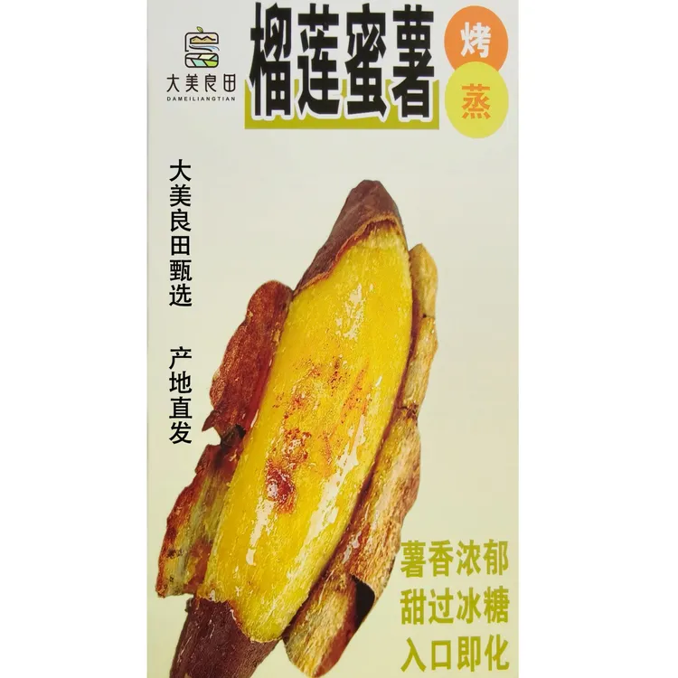 正宗宁夏银川沙地新鲜现挖榴莲蜜薯（中大果）