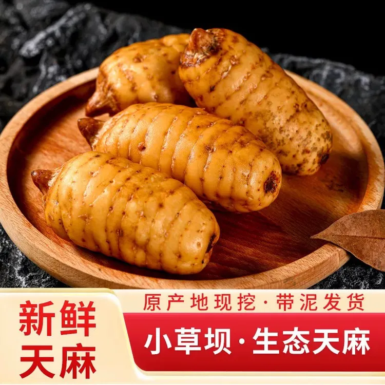 正宗三年采收野外种植【昭通小草坝新鲜乌湿天麻】高山林下煲汤泡酒