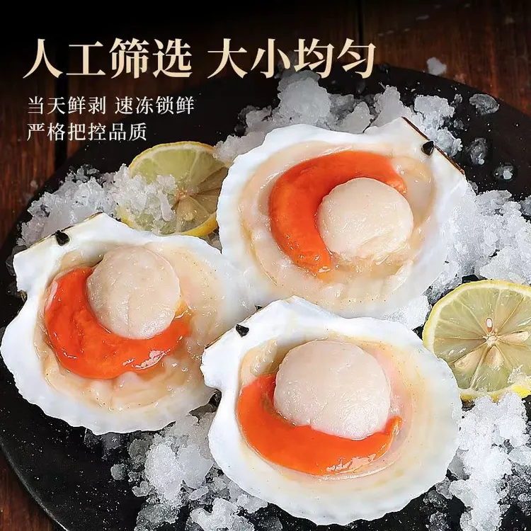 1000g新鲜肥美超大冷冻夏威夷扇贝可用于蒜蓉粉丝烧烤的海鲜1000g