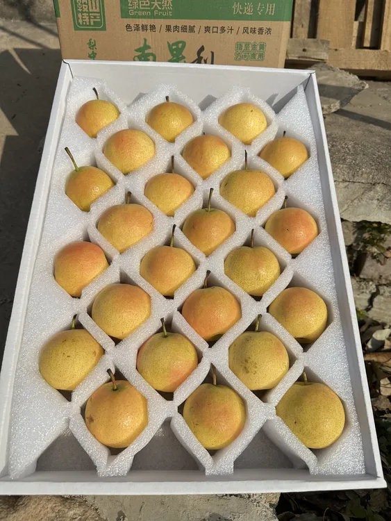 精品小红脸薄皮黄皮多汁南果梨礼盒装东北特产鞍山产地直发正宗