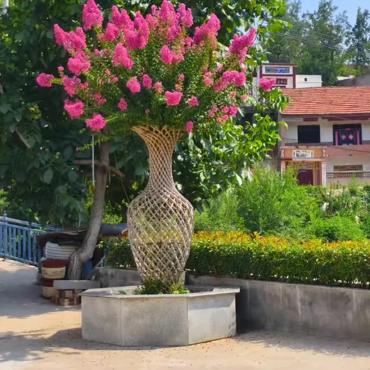 紫薇平安花瓶/易种易活/别墅庭院/出入平安/包种活/