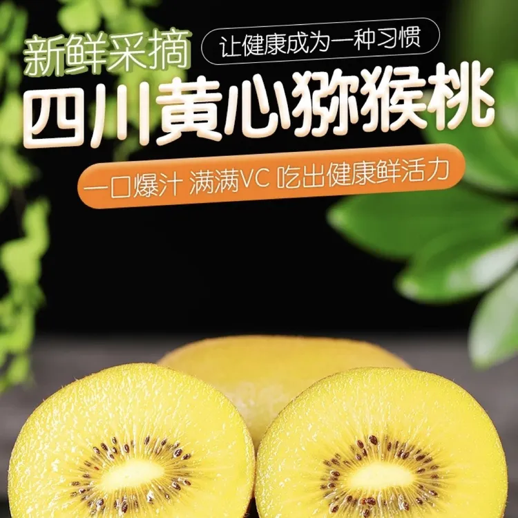 四川黄心金奇异果猕猴桃细腻多汁自己果园现摘现发