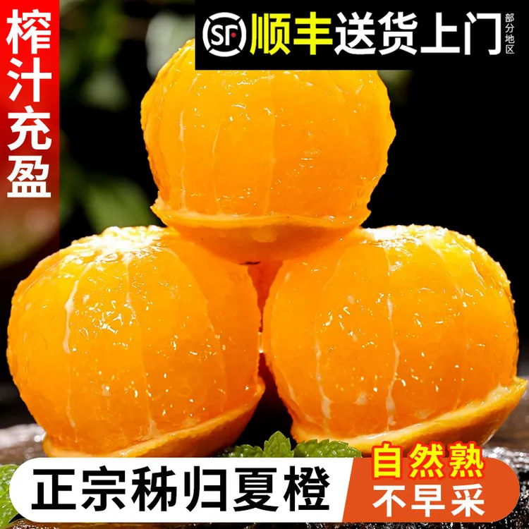 顺丰包邮秭归夏橙新鲜多汁当季时令水果湖北脐橙榨汁专用橙子整箱