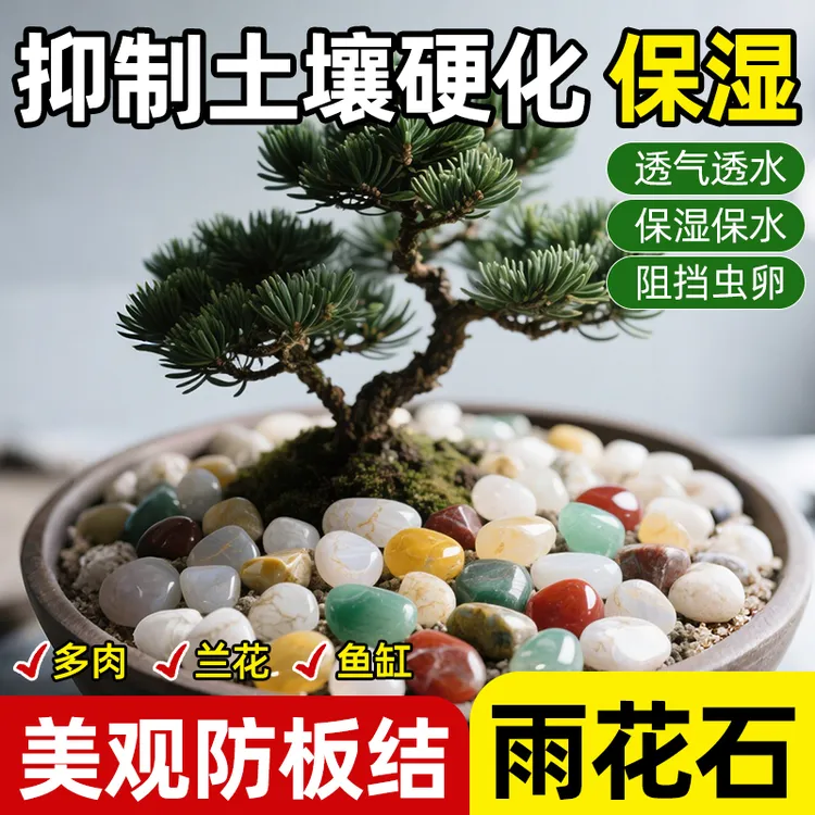 【盆栽铺面专用】天然雨花石玛瑙石水培五彩石养花专用小石子铺面石