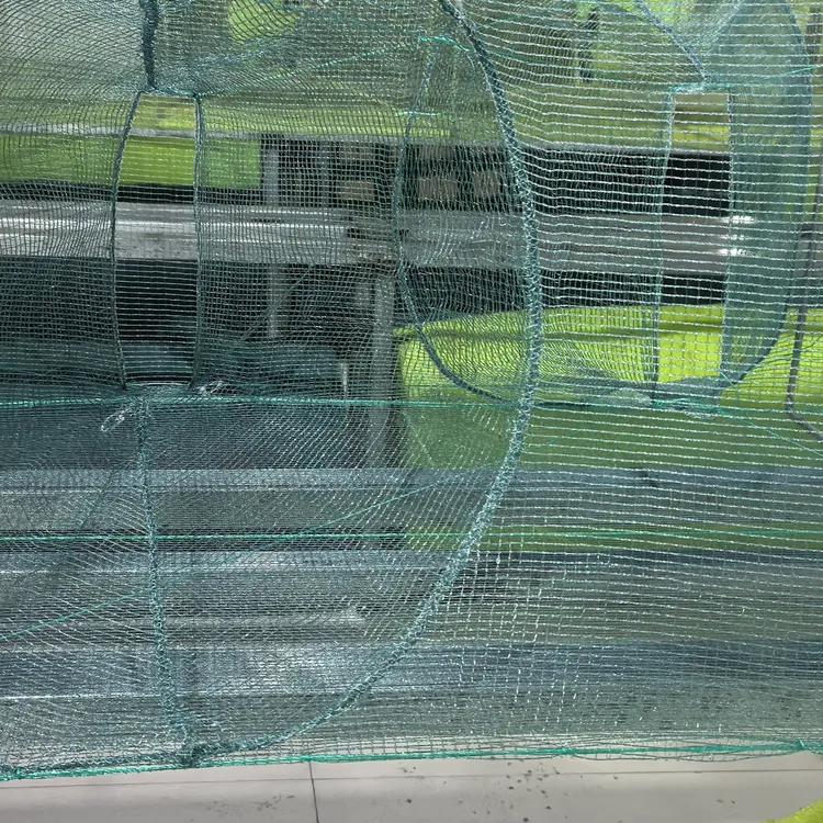 45高60宽大方框24米24节，44个进鱼口鱼虾通吃重19斤多，全身方格网
