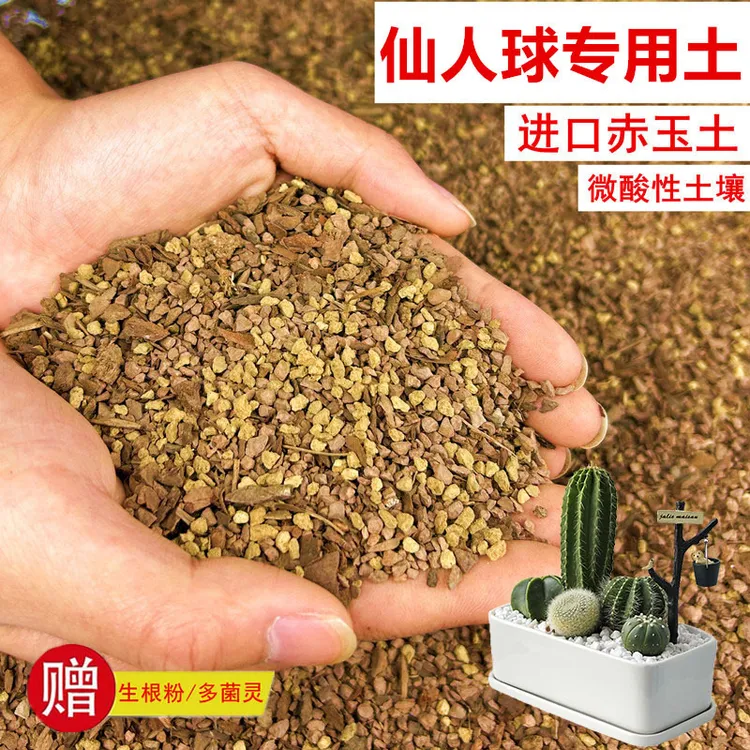 仙人球植物颗粒土透气赤玉土风化土营养土盆景土花卉绿植种植土
