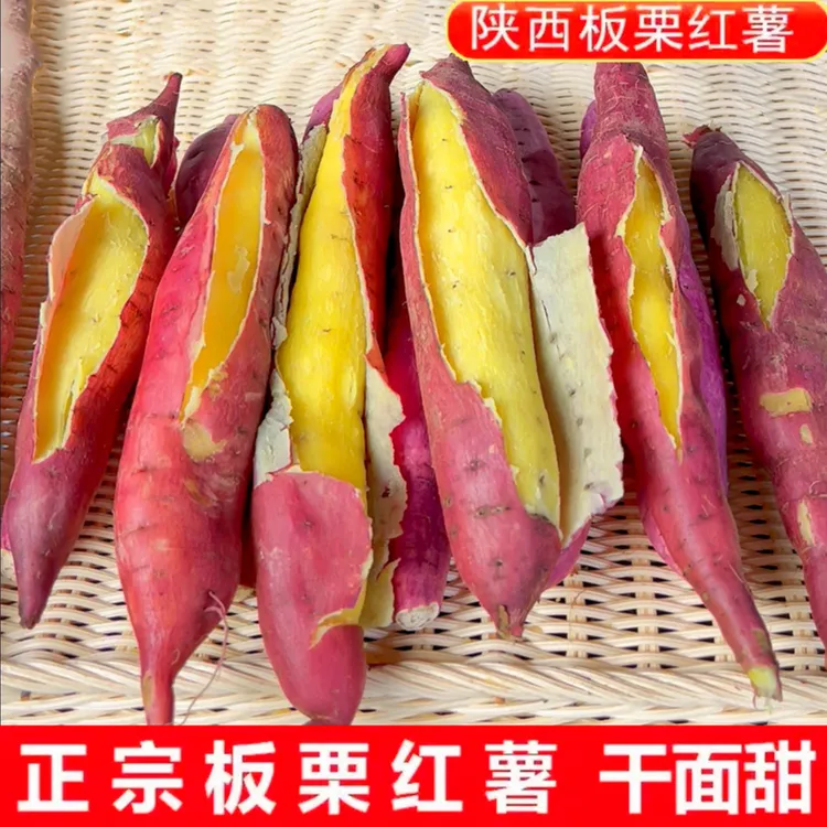 陕西正宗板栗红薯3-5-9斤新鲜现挖粉面干甜小番薯地瓜烤红薯1虢王