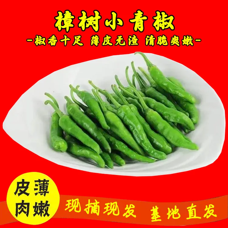 【中辣椒香】湖南樟树小青椒软香辣椒椒湖南产地采摘新鲜蔬菜1-5斤
