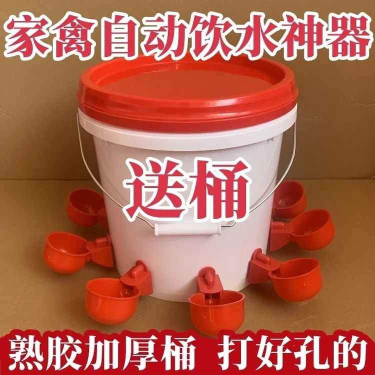 鸡鸭鹅家禽自动喂水器养殖专用水桶鸭鹅喂鸡自动饮水器鸽子饮水碗