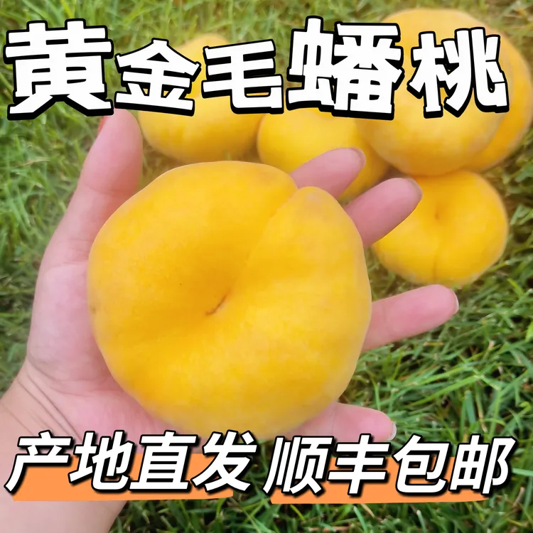 平谷特产正宗水蜜桃蟠桃油桃黄油蟠桃礼盒超甜新鲜现摘顺丰包邮