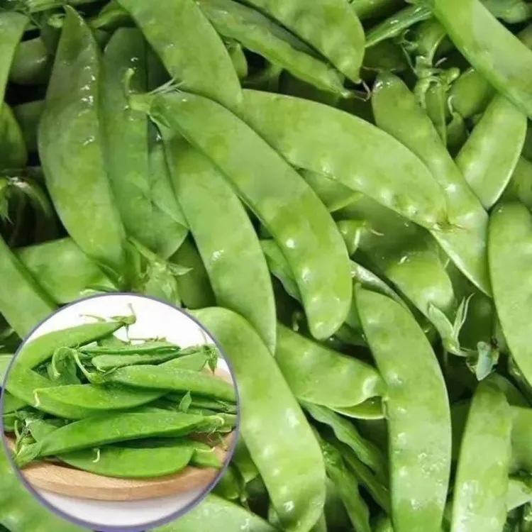 【荷兰豆种子】豌豆蔬菜种子四季种植阳台盆栽蔬菜种子荷兰豆种籽