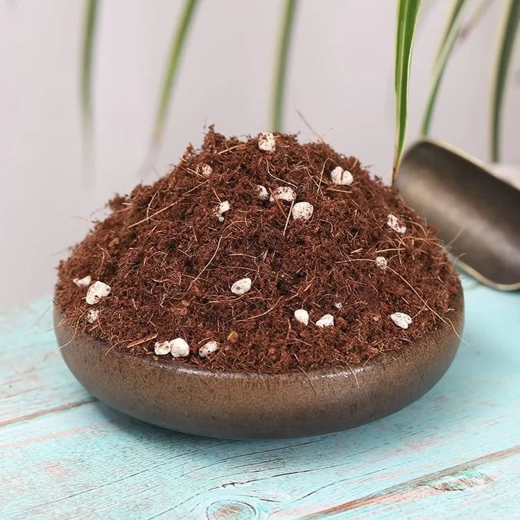 通用型种植抗病生长专用土种植土有机配方轻质营养土·
