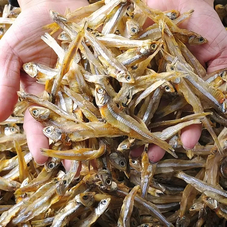 淡干深海小鱼干 海鱼公干鱼海鲜干货 公干鱼 小鱼仔  辣炒油炸