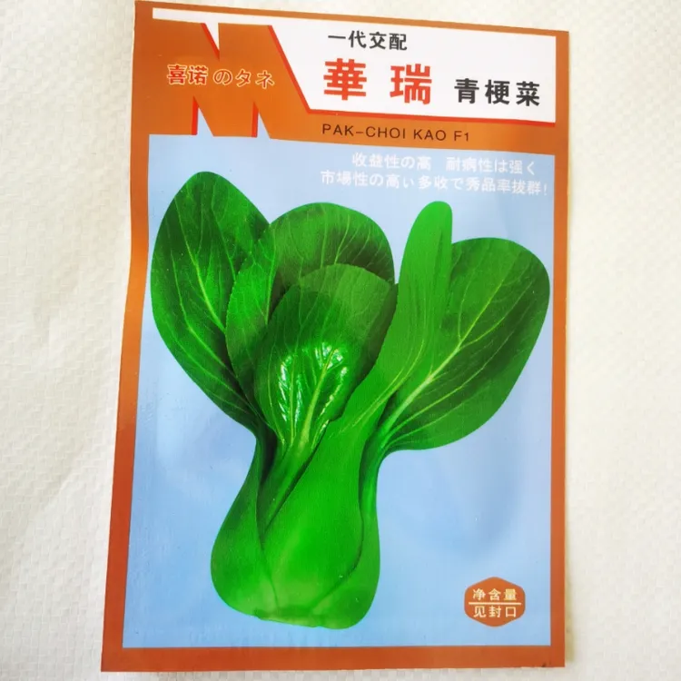 青岛本地黄芯油菜无筋油菜