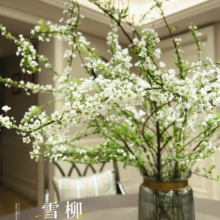 云南雪柳鲜枝水培耐寒开花室内绿植云南新鲜鲜花枯木养成的雪柳花