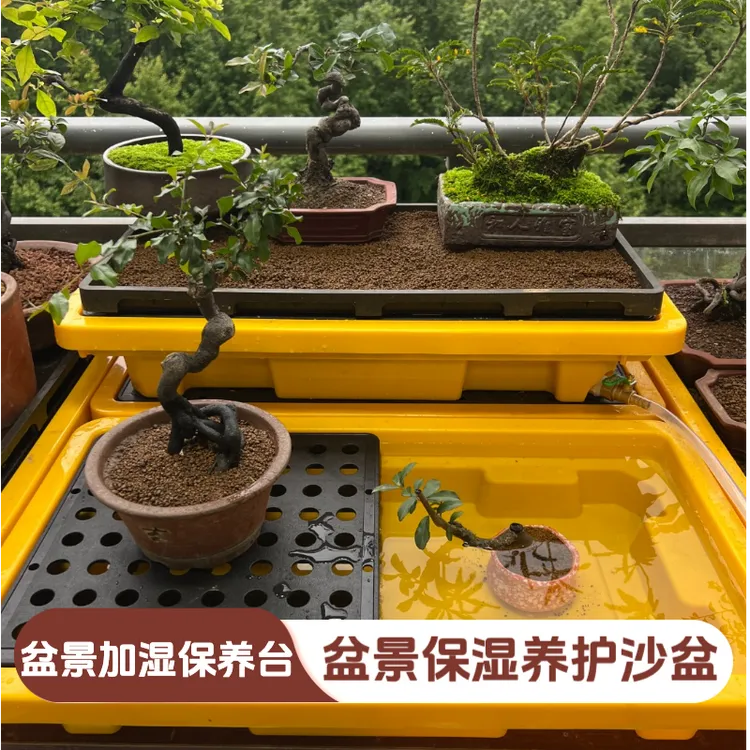 盆景养护沙盘盆景加湿保养台浸盆浇水环境加湿服盆复壮促生根神器