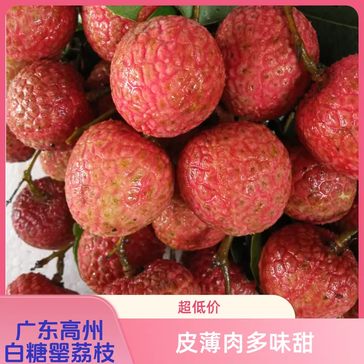 广东省内（白糖罂）：皮红且薄果肉爽脆汁多味清甜有特殊浓密风味。