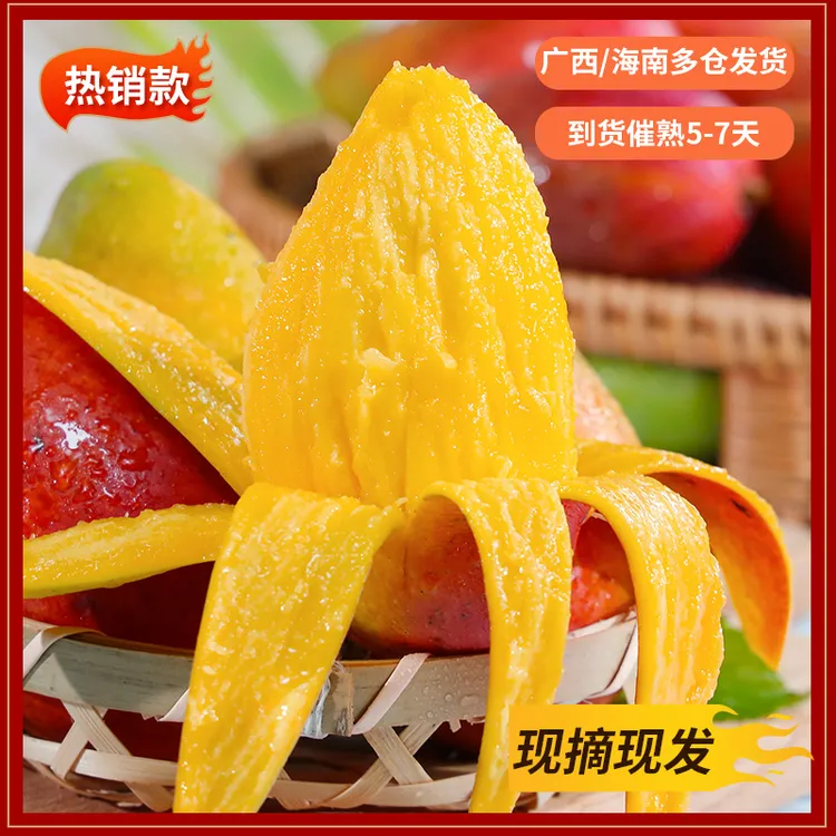 2025年海南头茬小贵妃芒果