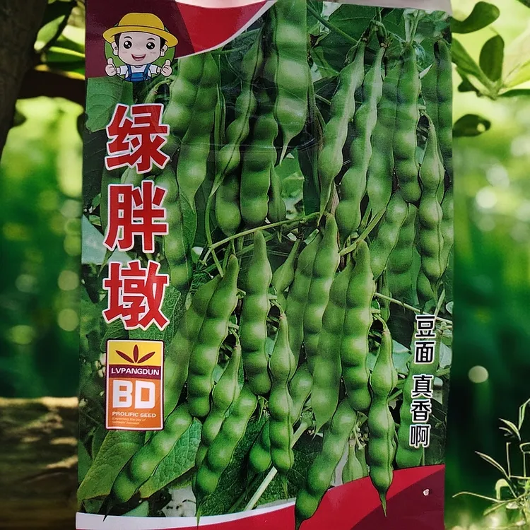 绿胖墩豆角籽50克左右
