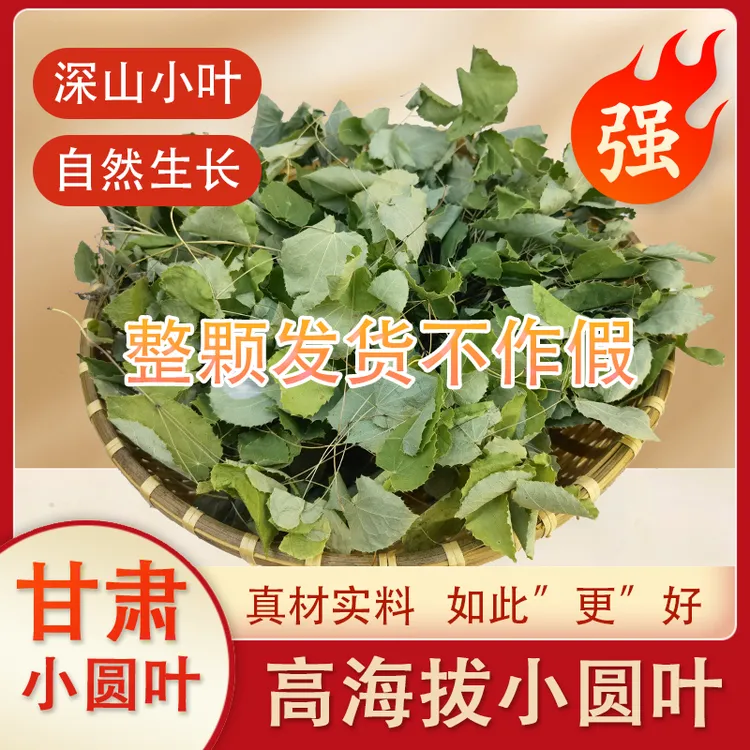 甘肃定西高海拔野生叶子茶 小圆叶