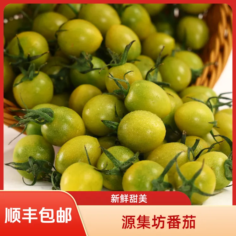 源集坊福利山东寿光直发高甜度青甜二号小番茄新鲜即食绿色圣女果
