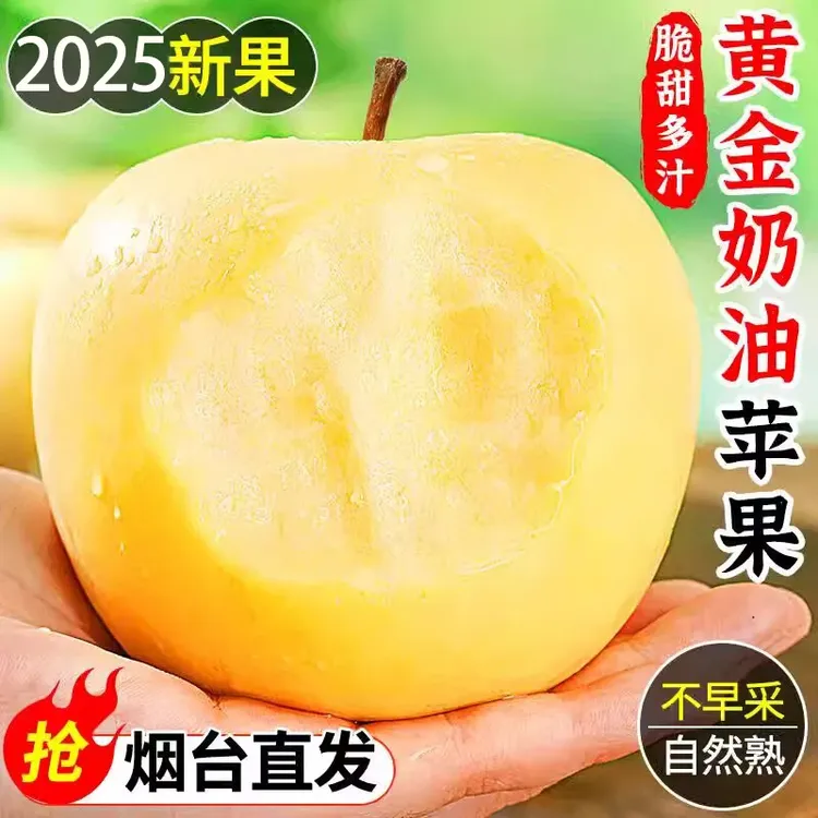 10斤山东黄金奶油富士2025苹果正宗烟台奶油苹果冰糖心5斤应季