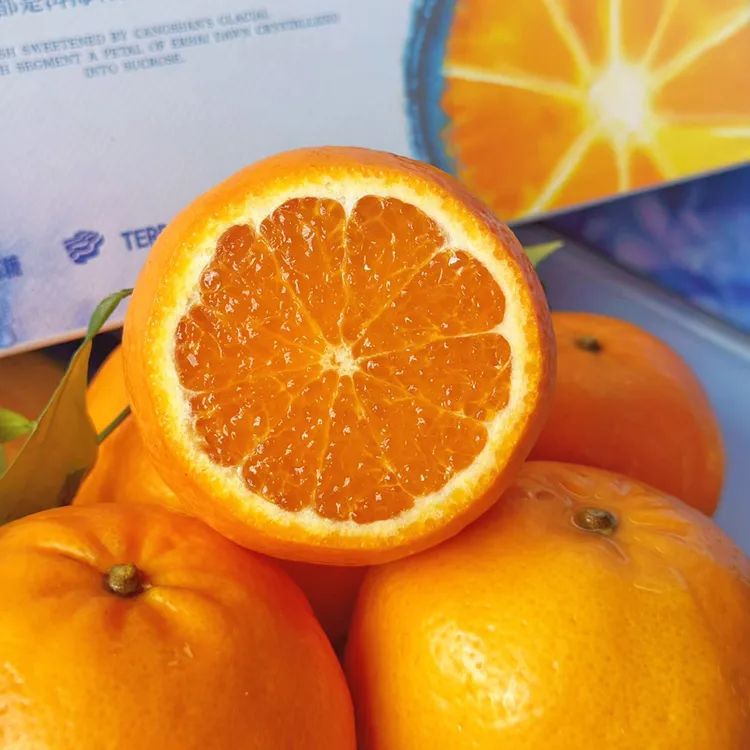 【明月见蜜柑八斤装礼盒】云南沃柑甜蜜多汁肉质细腻新鲜现摘包邮