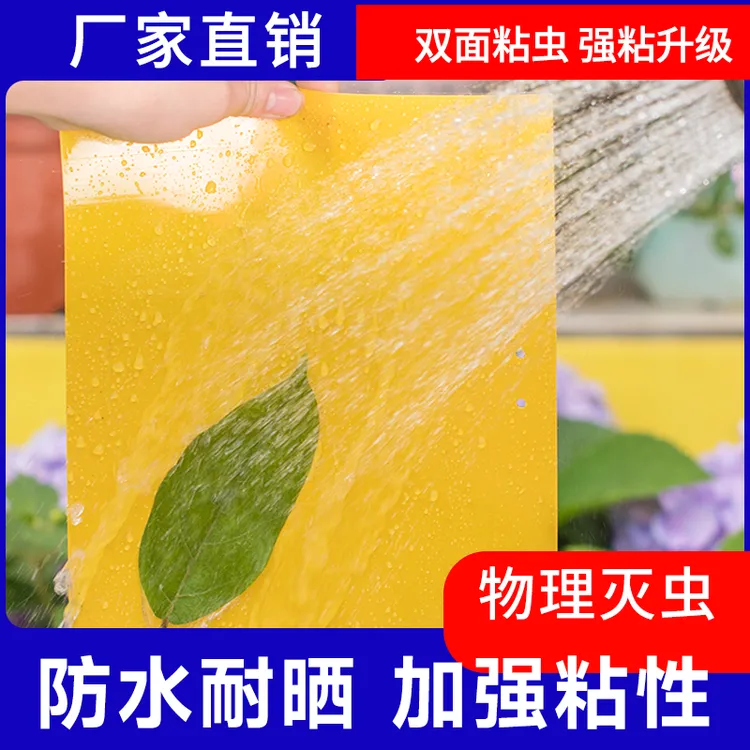 黄板双面粘虫板诱虫飞虫粘板针蜂菜园花园果园诱果蝇庭院大棚专用